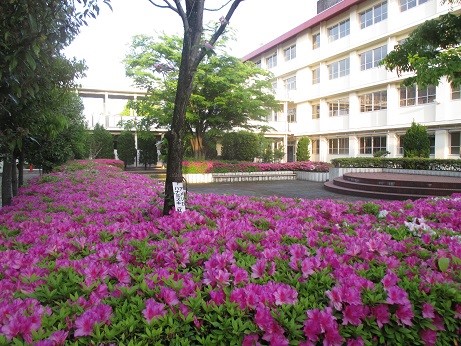 岐阜県立池田高等学校 ユネスコスクール加盟校エリア 岐阜県立池田高等学校 ユネスコスクール加盟校エリア