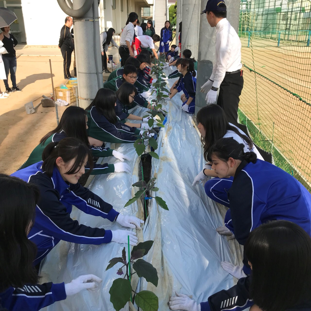 大阪府立佐野高等学校 ユネスコスクール加盟校エリア