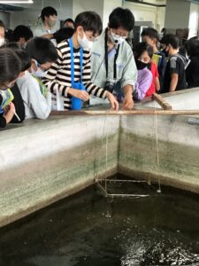 水産高校での餌やり体験