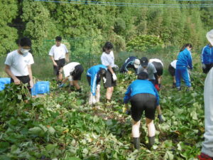 北中勤労生産学習の様子