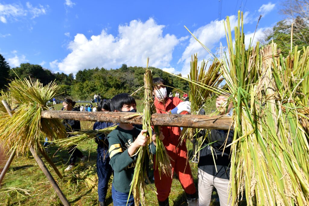 自由の森学園田んぼづくり