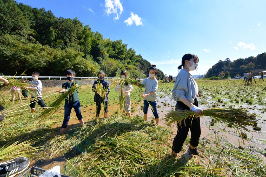 自由の森学園の田んぼづくり