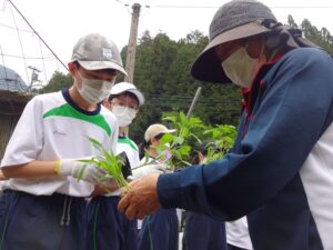 地域と共に野菜をつくる