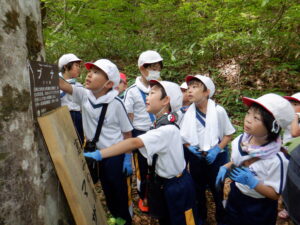 低学年児童は恵みの森へ散策に。本町を代表するブナの木について説明を受ける。