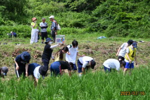 20230716気仙沼大谷地区子どもの実習田の除草作業