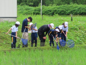 中学年児童による生き物調査。学区内の水田や畦とはいえ，生き物の採集は児童にとっても経験が少ないことがわかった。