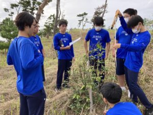 海岸植樹生育調査