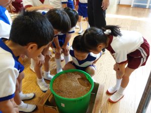 画像１２：味噌の発酵による味や香りの変化を観察する子どもたち