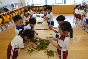 Image 5: Children enthusiastically trying tea kneading by hand.