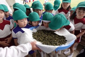 Image 6: Children enjoying the aroma of freshly roasted tea leaves.