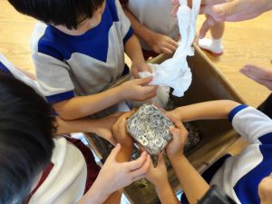 画像７：家庭から持ち寄ったプルタブを回収箱にいれる子どもたち