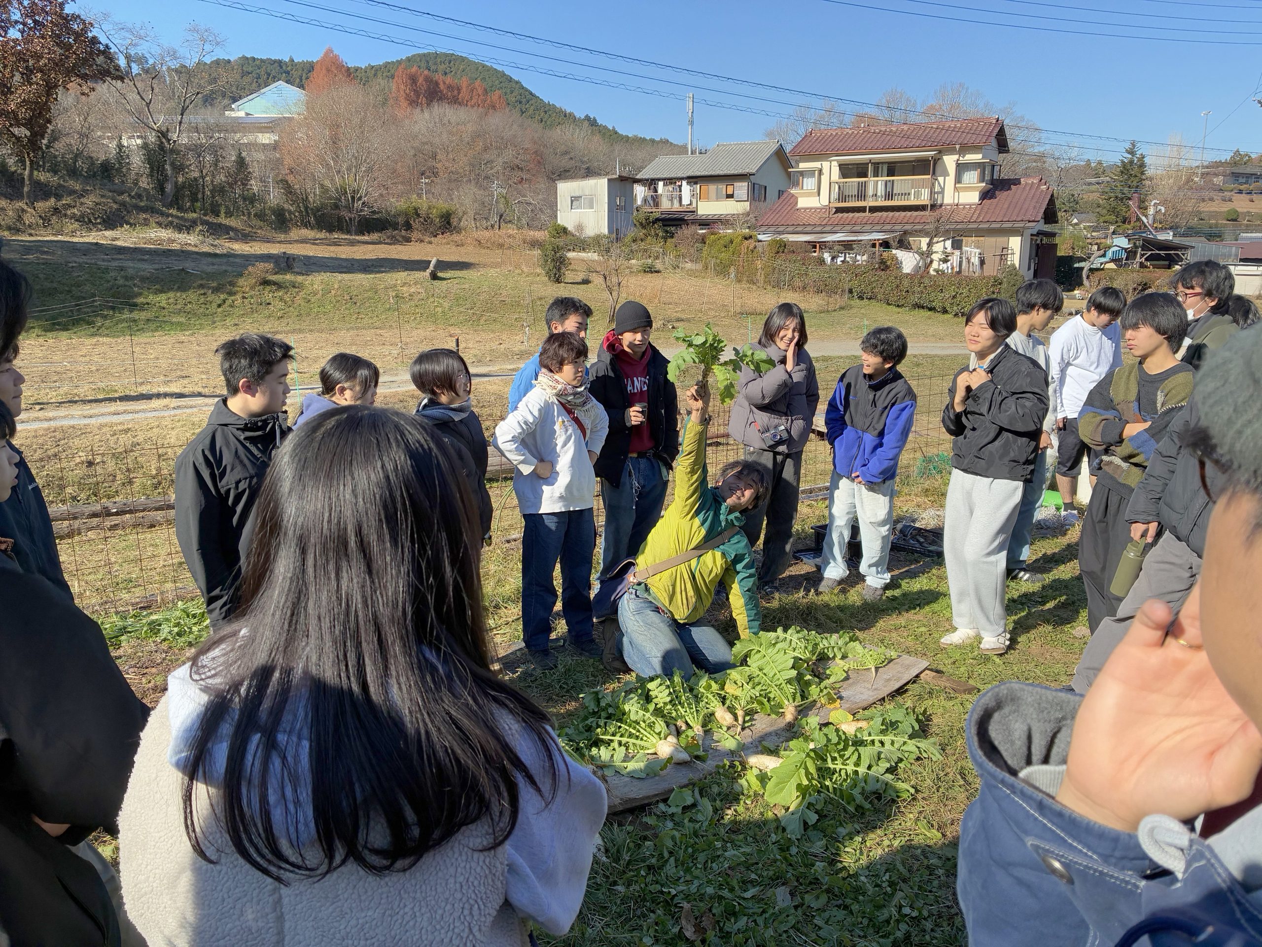 高校選択講座　タネ　来年のタネ用の個体を選別