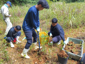 希少植物の保護活動
