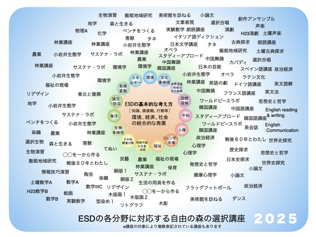 ESDの各分野に対応する選択講座の配置を表した図