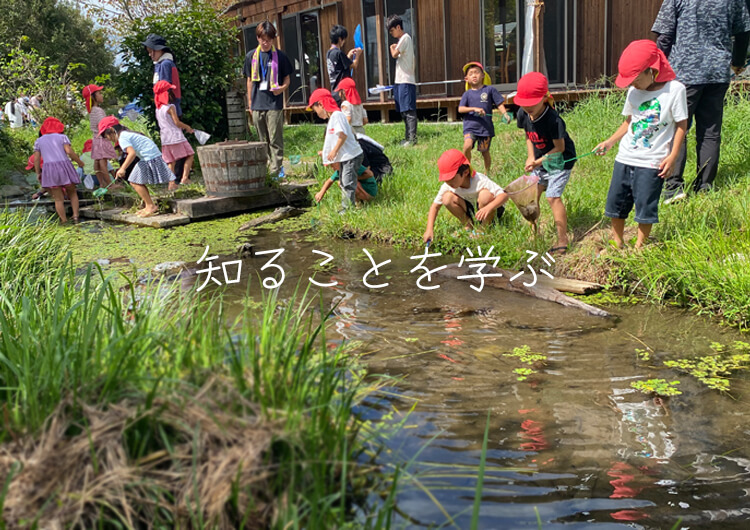 知ることを学ぶ